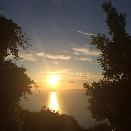 Les Terrasses Levantines Lejlighed *