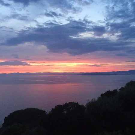 Les Terrasses Levantines * Île du Levant