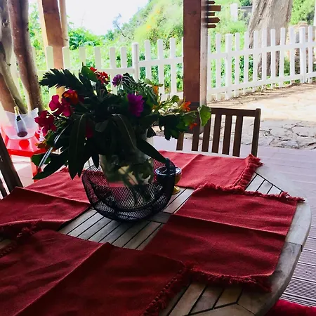 Les Terrasses Levantines * Île du Levant