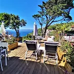 Les Terrasses Levantines * Île du Levant