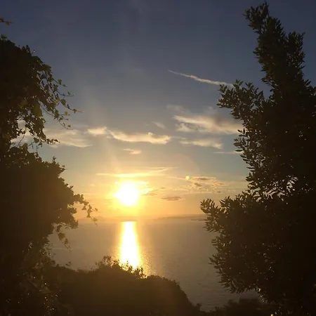 Les Terrasses Levantines Appartamento