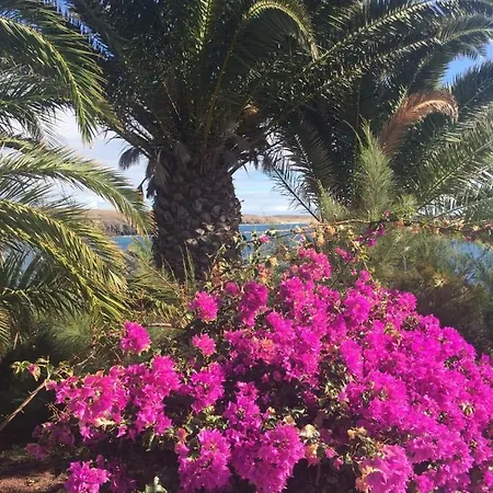 Les Terrasses Levantines 아파트 Île du Levant