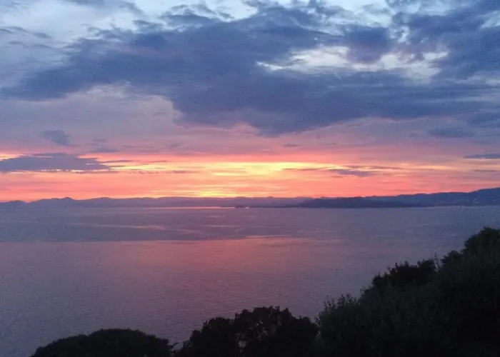Les Terrasses Levantines * Île du Levant
